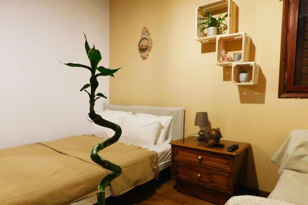 Marco Polo'S Mooring Cozy Navy House Apartment Анависос Екстериор снимка
